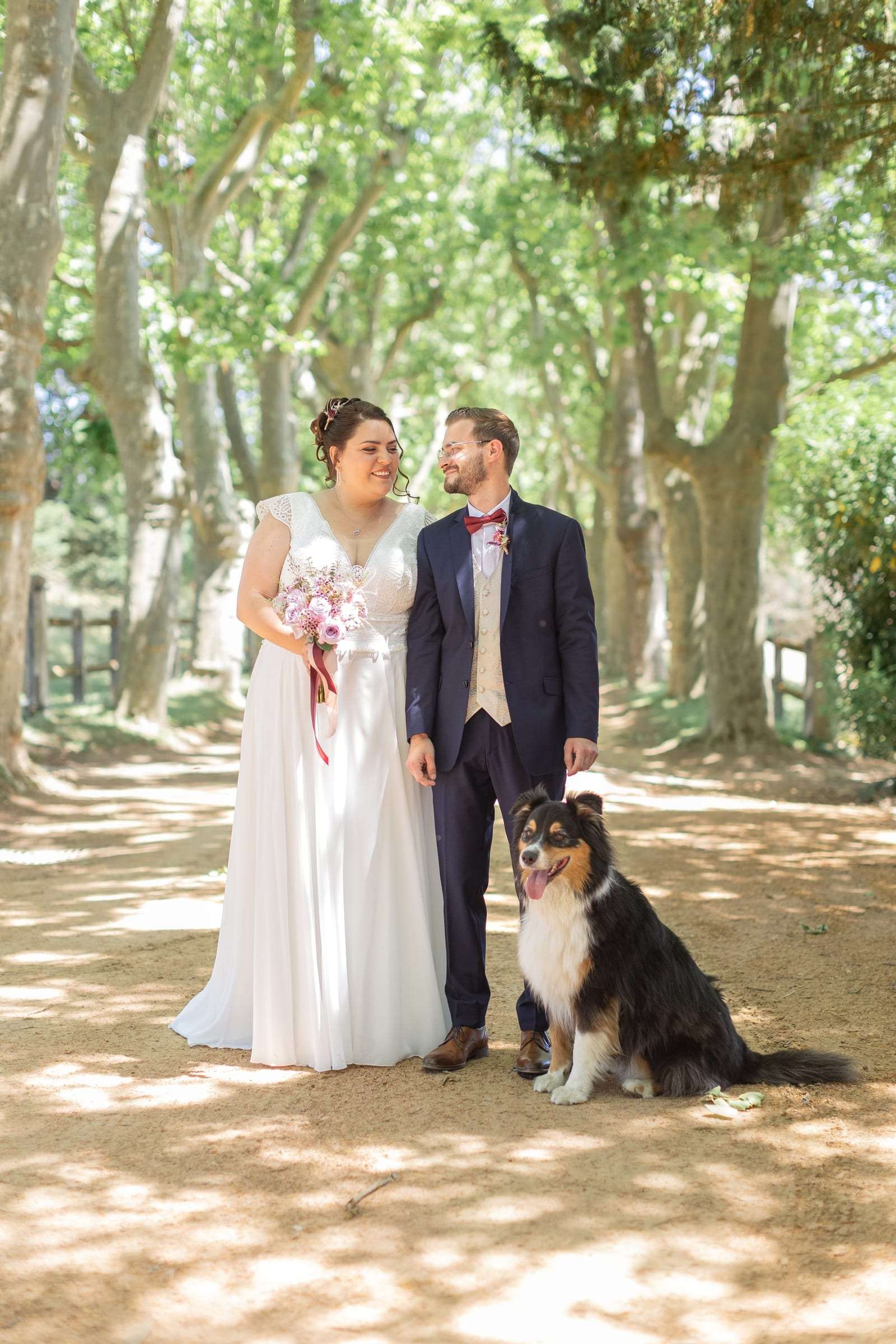 Les mariés et leur chien sous une allée de platanes